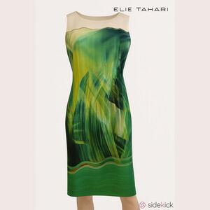 Elite Tahari Fitted Midi Dress Size US 12